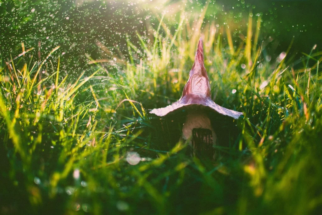 le tao-coaching t'embarque dans la magie de la nature