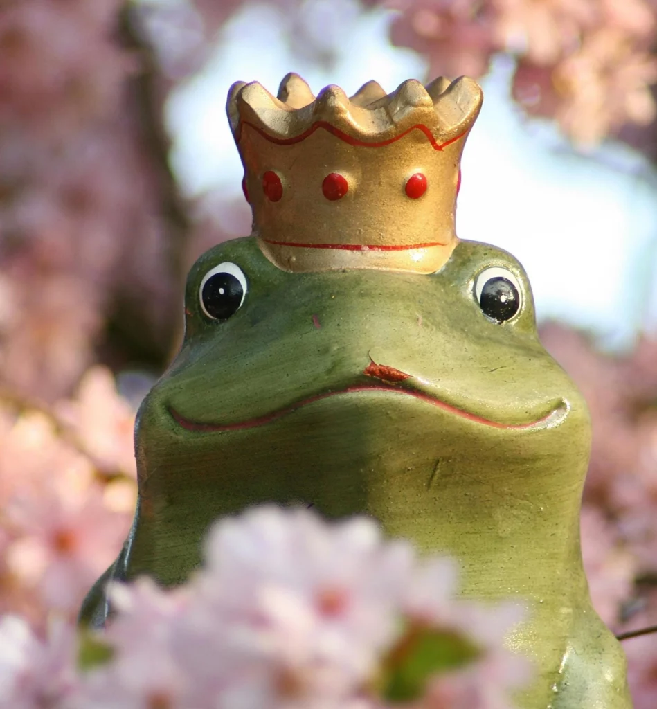 la grenouille de conte de fée