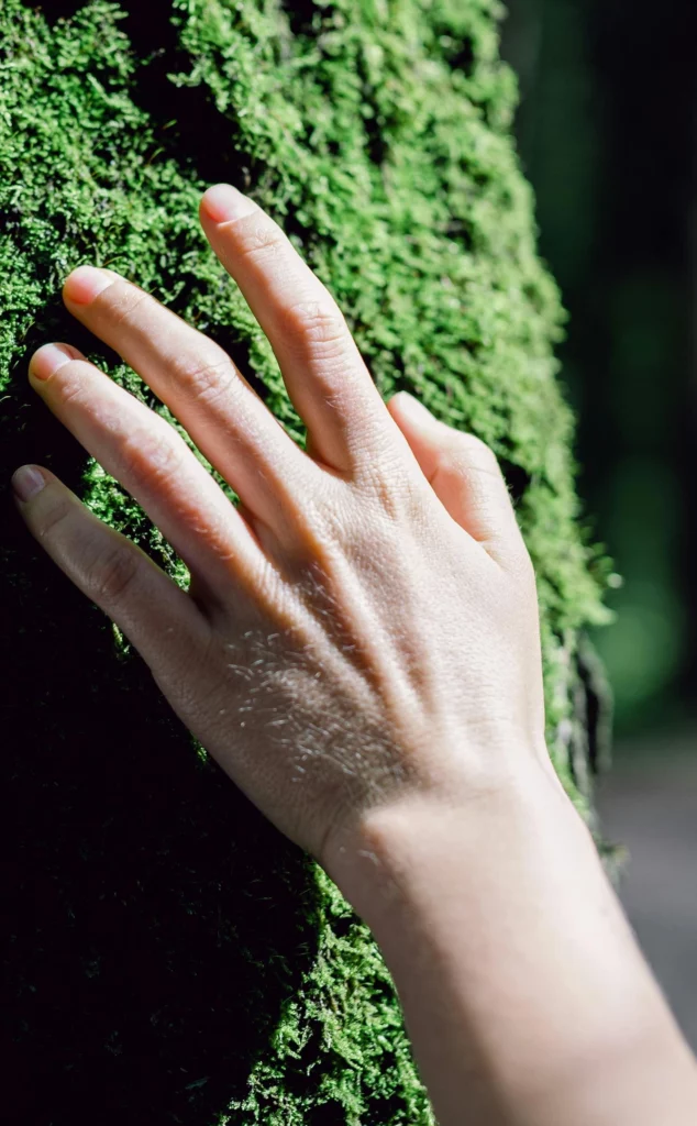 Emily Joyard animatrice d'ateliers sensoriels de pleine nature