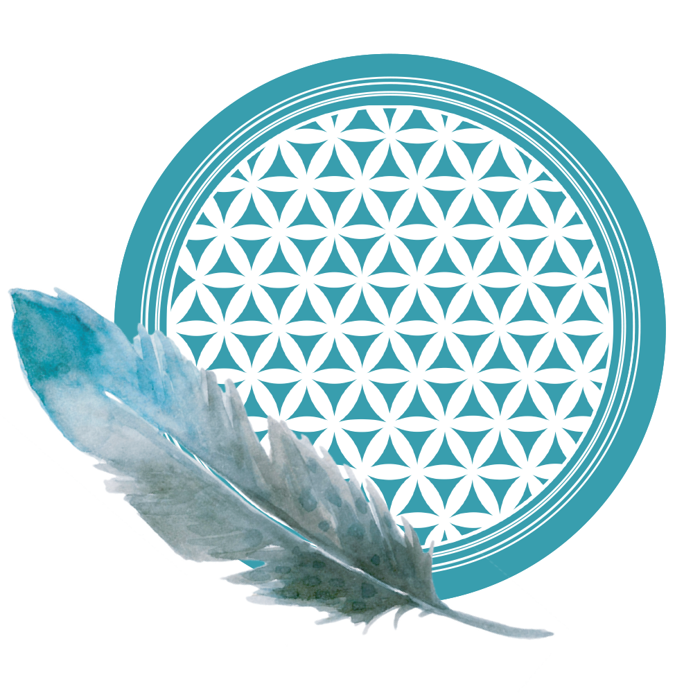 découvre ton cv-energetique avec elan vers