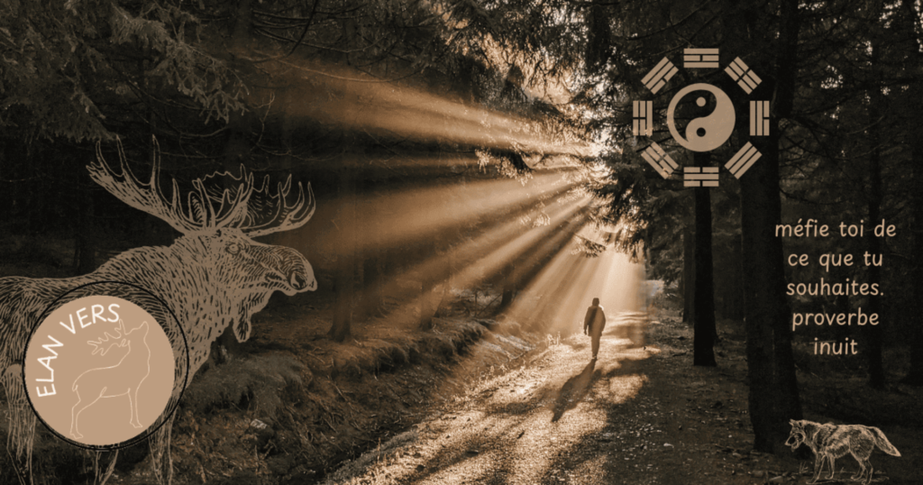 Un humain marche en foret, les symboles du yi jing sont present ainsi qu'un loup et un élan